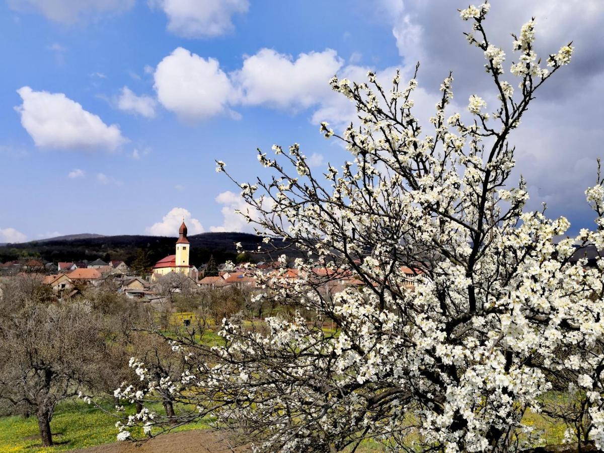 Apartmán Domboldal Vendeghaz Noszvaj Exteriér fotografie